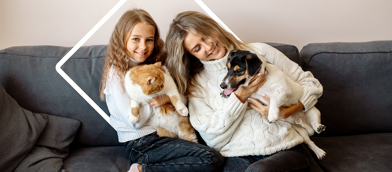 Consejos útiles para recibir una nueva mascota en casa