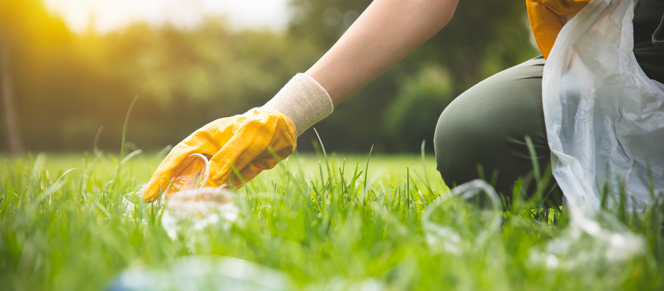 Reciclar con impacto: tips prácticos y datos curiosos para un mundo más verde