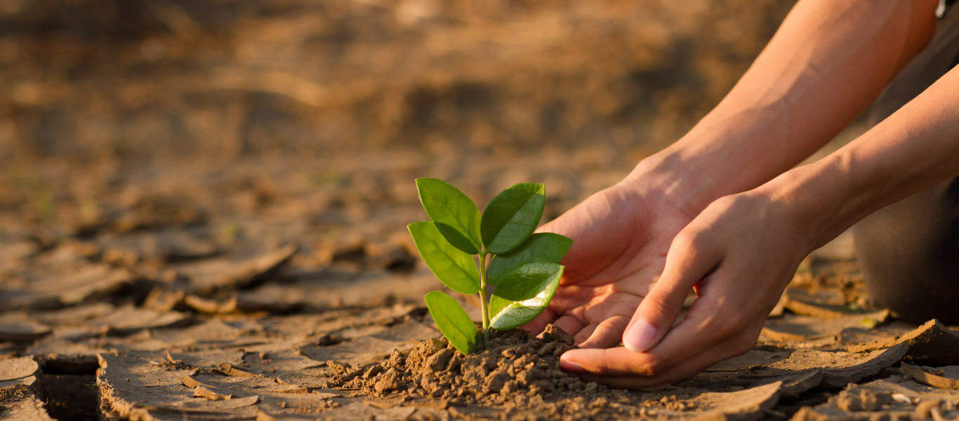 Cambio Climático: Datos que impactan y acciones que transforman 