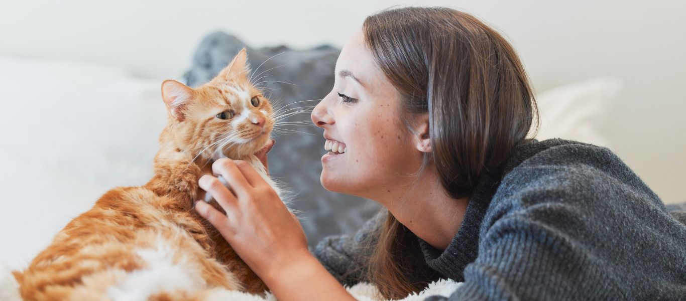 Seguro para gatos: proteger a quienes también son parte del hogar 